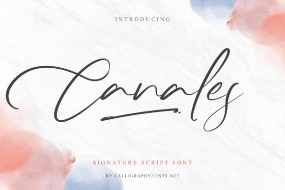 Canales Font: Elegant Script for Campaigns