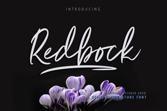 Redbock: A Flowing Handwritten Font for Scroll-Stopping Brand Content